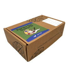 Load image into Gallery viewer, Paint Your Own Raptor Ornament Kit