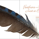 Feathers - A Beautiful Look