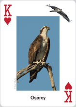 Load image into Gallery viewer, Raptors Playing Cards