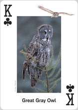 Load image into Gallery viewer, Raptors Playing Cards