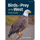 Birds of Prey of the West Field Guide