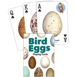 Bird Eggs Playing Cards