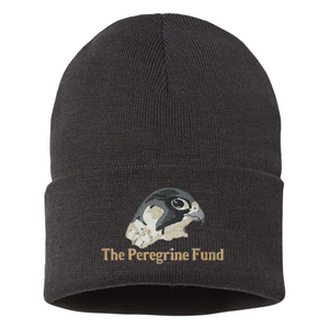 Peregrine Fund Beanies