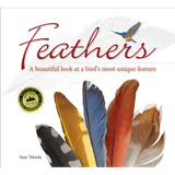 Feathers - A Beautiful Look