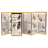 Sibley - Owls of North America - Folding Guide