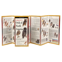 Load image into Gallery viewer, Sibley - Owls of North America - Folding Guide