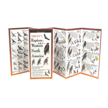 Load image into Gallery viewer, Sibley - Raptors of Western North America - Folding Guide
