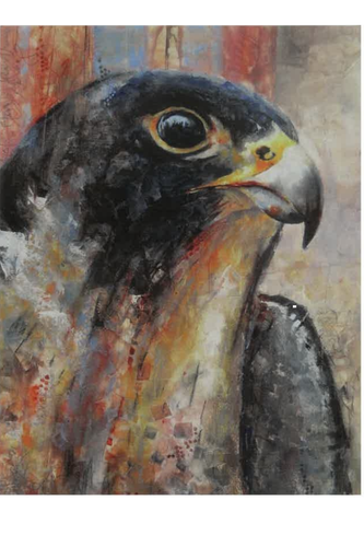 Falcon Gaze Notecard
