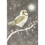 Starry Night Owl Boxed Holiday Cards