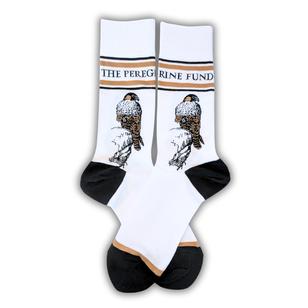 The Peregrine Fund Socks