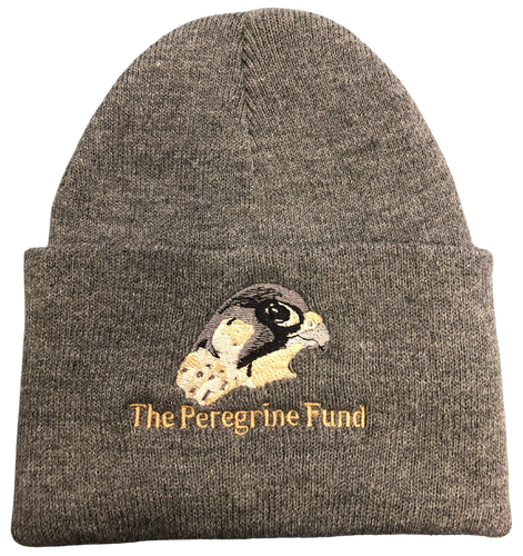 Peregrine Fund Beanies