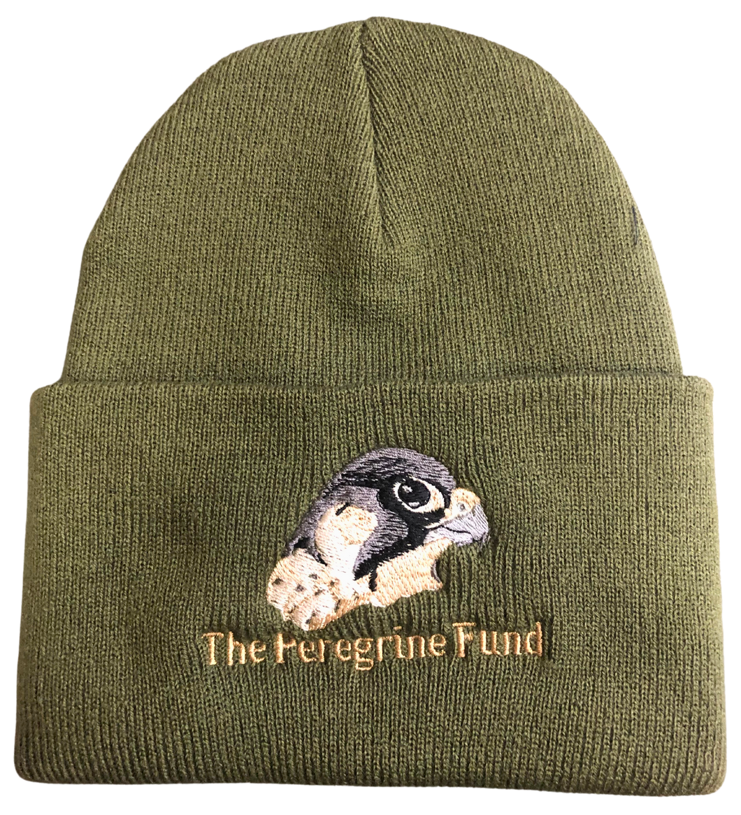 Peregrine Fund Beanies