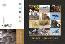 Load image into Gallery viewer, (Pre-order) 2026 Birds of Prey Calendar