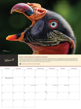 Load image into Gallery viewer, (Pre-order) 2026 Birds of Prey Calendar