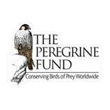 The Peregrine Fund Stickers