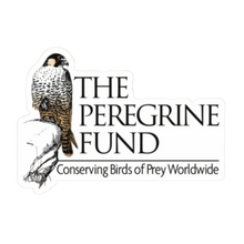 Load image into Gallery viewer, The Peregrine Fund Stickers