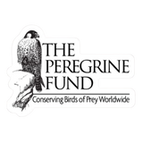 The Peregrine Fund Stickers