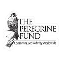 Load image into Gallery viewer, The Peregrine Fund Stickers
