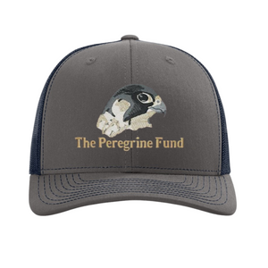 Peregrine Falcon logo trucker hats