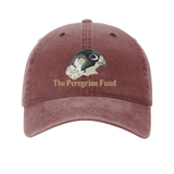 Peregrine Falcon logo unstructured hats