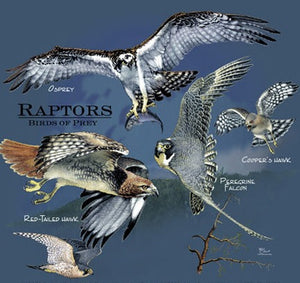 Raptor Collage Shirt - Adult Unisex