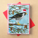 Peregrine Falcon Boxed Holiday Cards