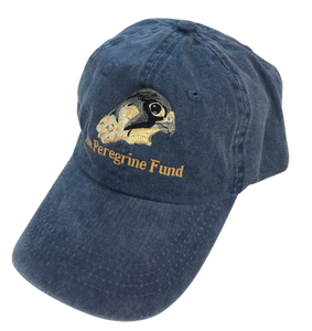 Peregrine Falcon logo unstructured hats