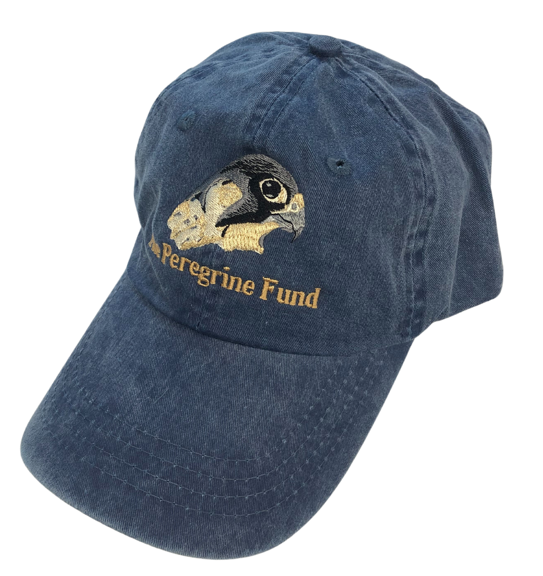 Peregrine Falcon logo unstructured hats