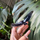Soaring California Condor Sticker