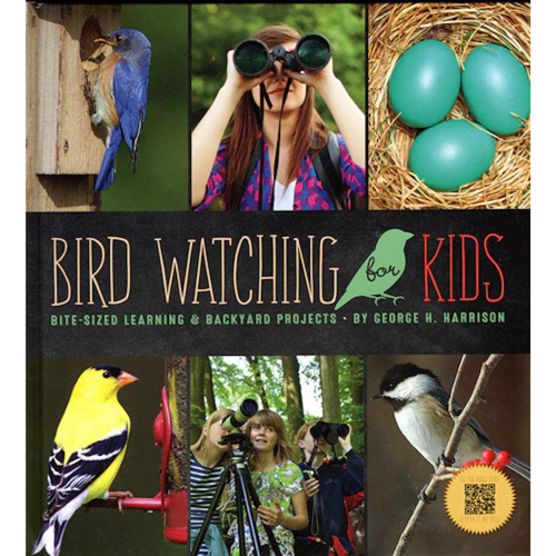 Bird Watching for Kids