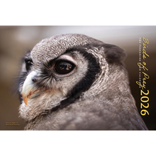 Load image into Gallery viewer, (Pre-order) 2026 Birds of Prey Calendar