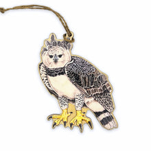 Load image into Gallery viewer, The Peregrine Fund wooden ornaments