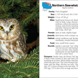 Birds of Prey of the Midwest Field Guide