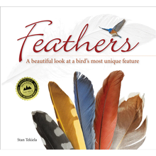 Load image into Gallery viewer, Feathers - A Beautiful Look