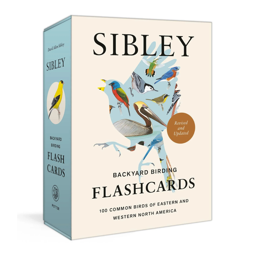 Sibley Bird Flashcards