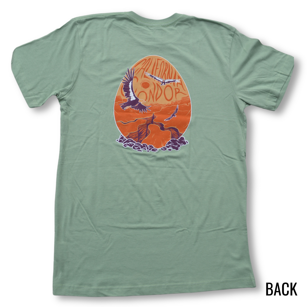 California Condor Egg T-shirt – The Peregrine Fund