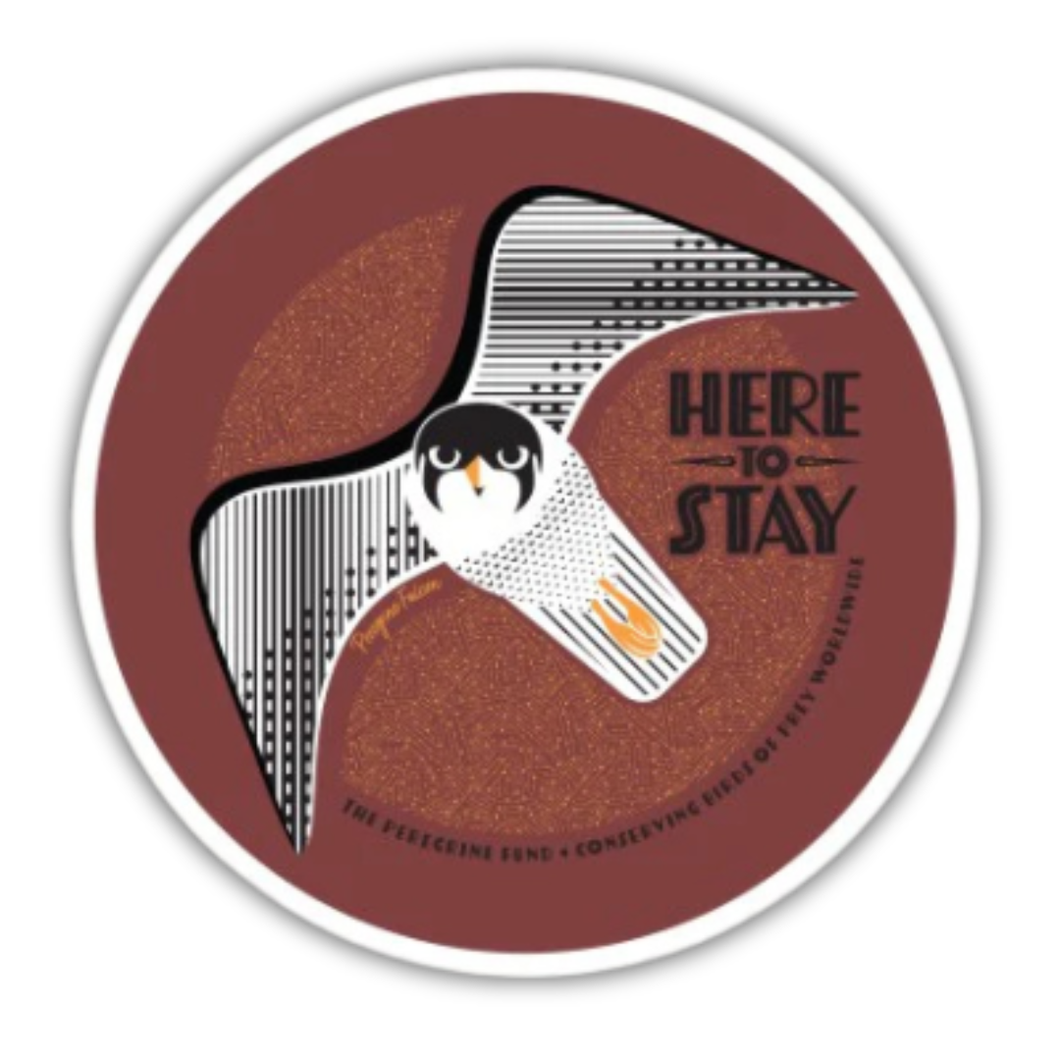 Here to Stay Sticker
