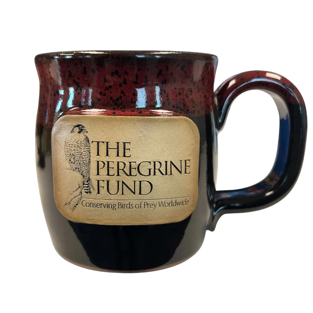 The Peregrine Fund & World Center for Birds of Prey ceramic mugs