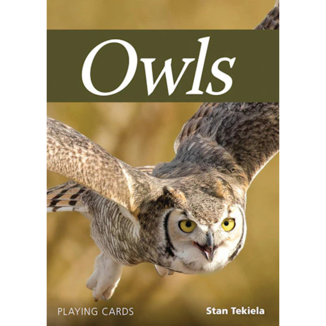 Owl Playing Cards