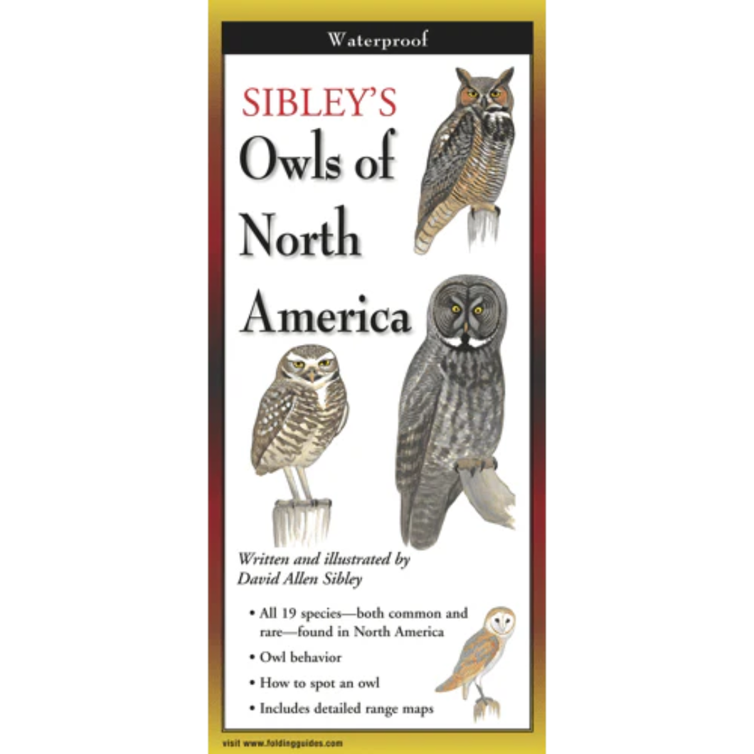 Sibley - Owls of North America - Folding Guide