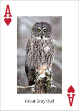 Load image into Gallery viewer, Owl Playing Cards