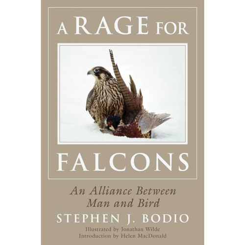 A Rage for Falcons