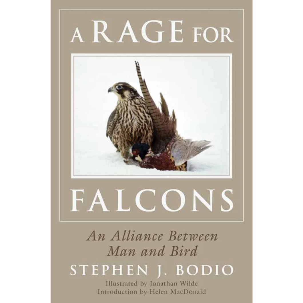 A Rage for Falcons