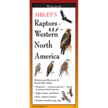 Load image into Gallery viewer, Sibley - Raptors of Western North America - Folding Guide