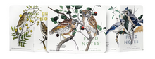 Load image into Gallery viewer, Field Notes - Birds and Trees 3-pack