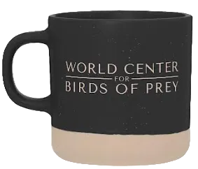 11oz Mugs