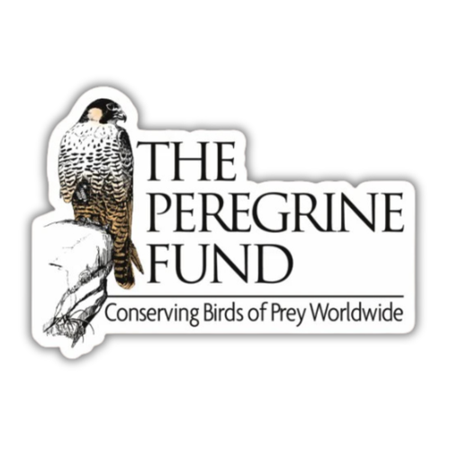 The Peregrine Fund Stickers