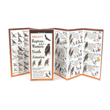 Load image into Gallery viewer, Sibley - Raptors of Western North America - Folding Guide