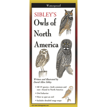 Load image into Gallery viewer, Sibley - Owls of North America - Folding Guide