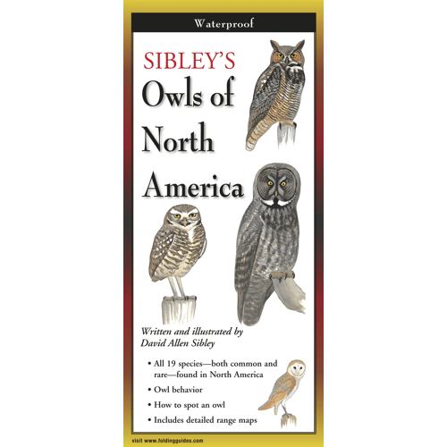 Sibley - Owls of North America - Folding Guide